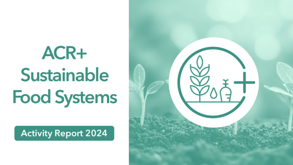 Discover the Sustainable Food Systems activity report 2024