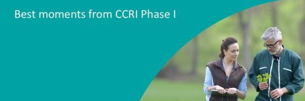 Four years on: CCRI celebrates its Pilots’ achievements in driving ...